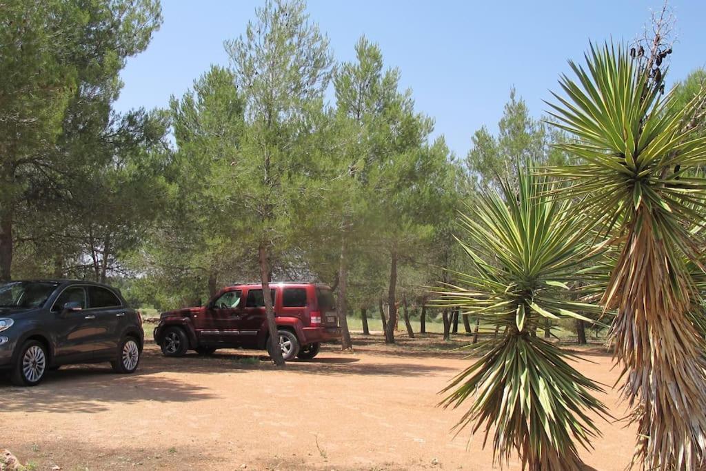 Gran Casa, Lagunas De Ruidera, Bbq, Porche, Chimenea Casa de vacances *