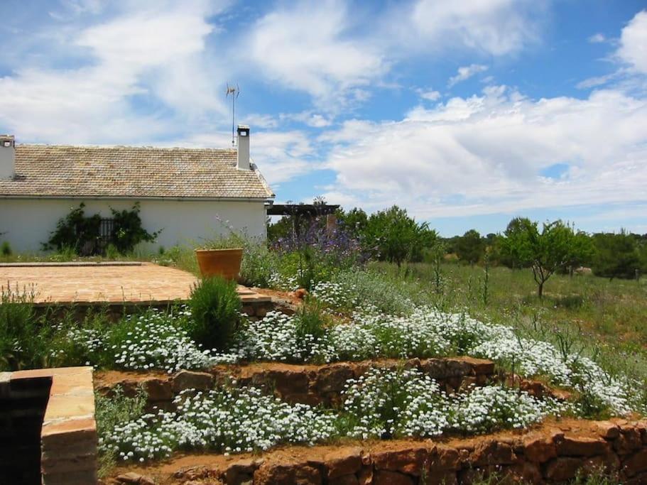 Gran Casa, Lagunas De Ruidera, Bbq, Porche, Chimenea Hébergement de vacances Ruidera
